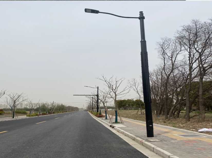 灌阳县上海综合杆 太阳能路灯工程